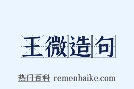 王微造句是什么意思的图片